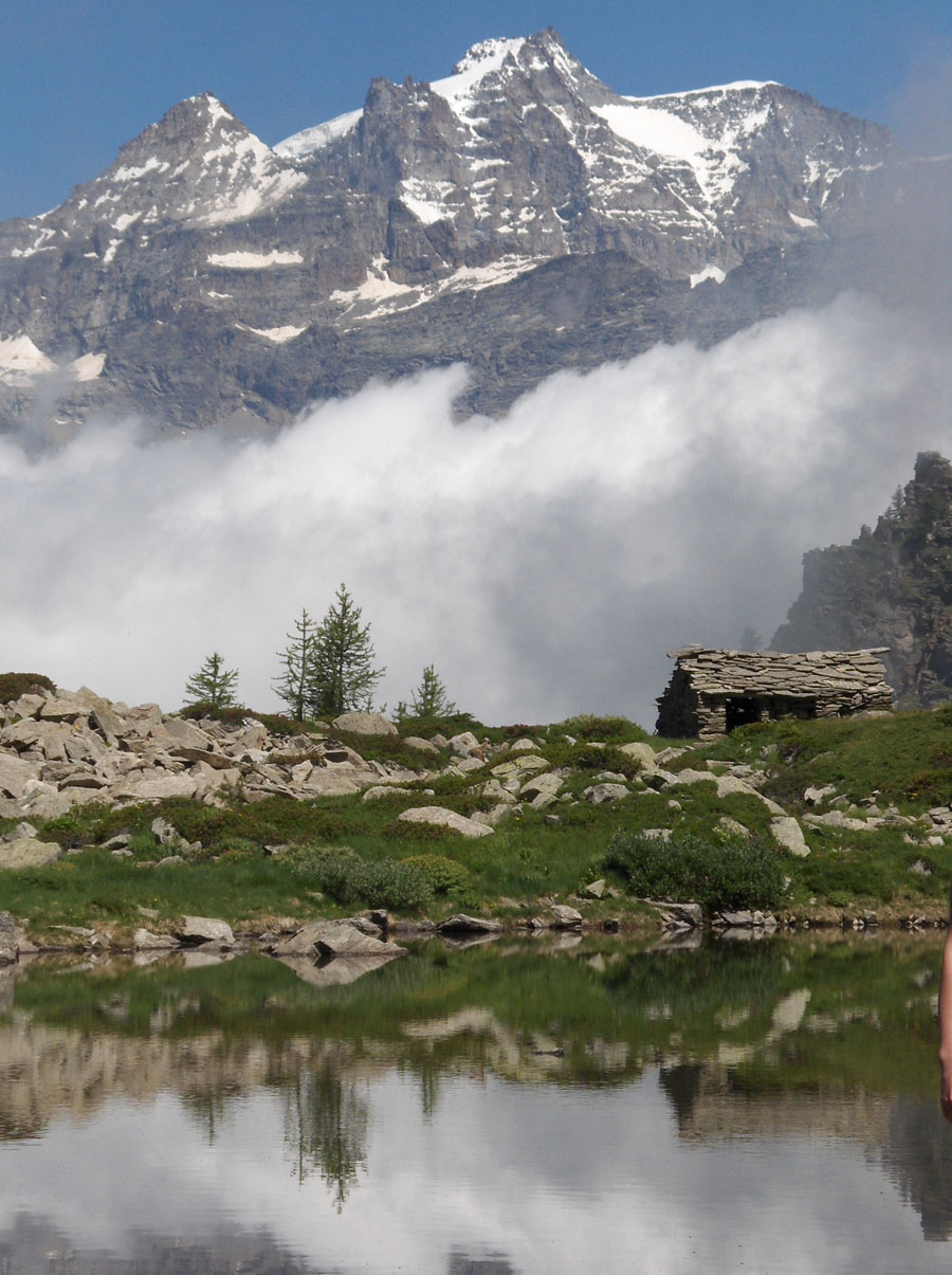 Gran Paradiso da Bellagarda Gran Paradiso da Bellagarda